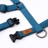Harness Turquoise