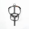 Harness Steel