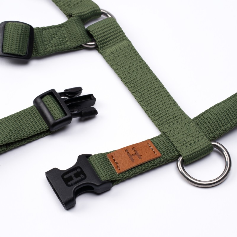Harness Green Haqihana