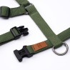 Harness Green Haqihana