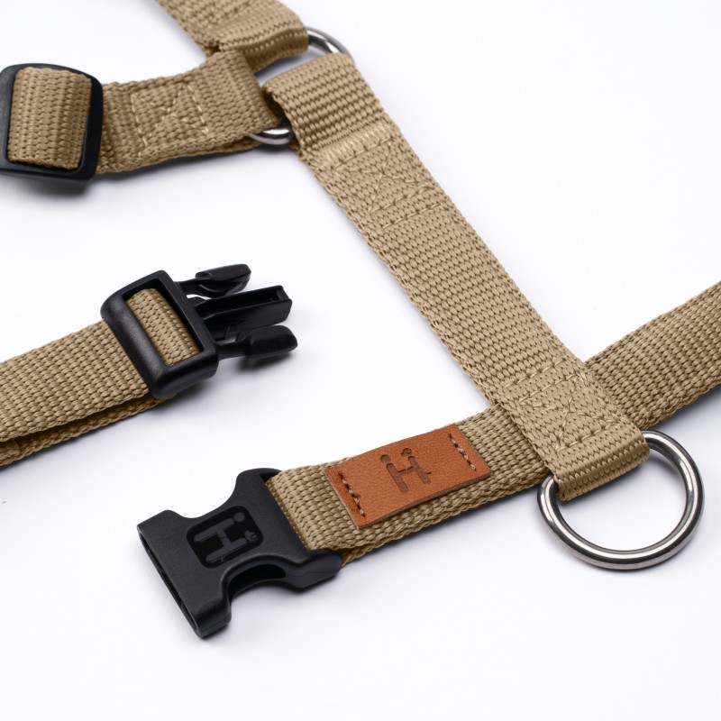 Harness Gold Haqihana