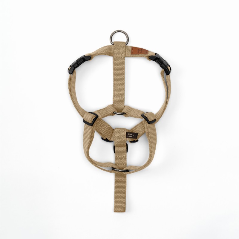 Harness Gold Haqihana