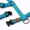 Harness Artic