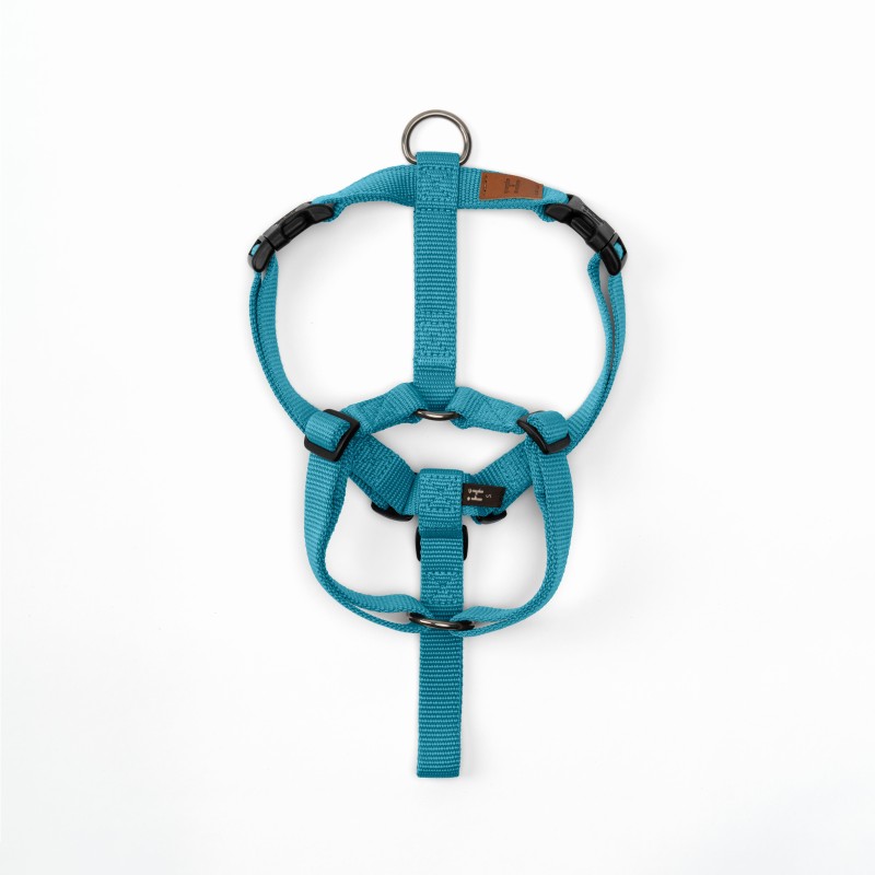 Harness Artic