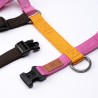 Harness Hanami - Limited Edition
