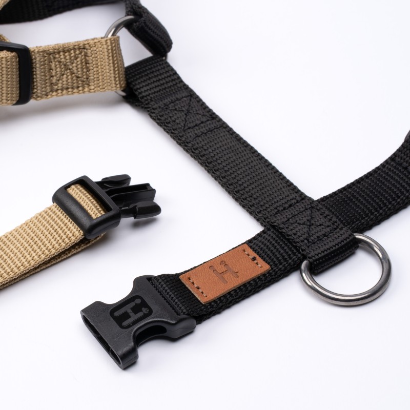 Harness Balance limited edition 2024