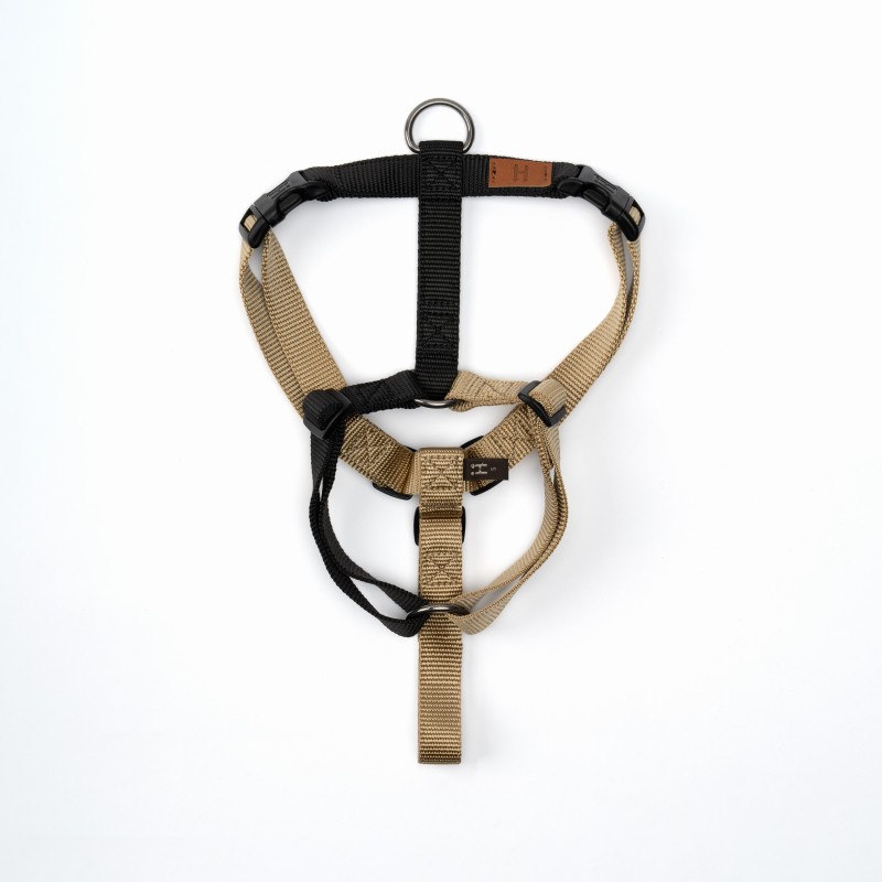 Pettorina Balance limited edition 2024