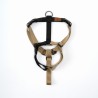 Pettorina Balance limited edition 2024