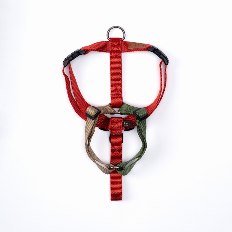 Christmas Harness - limited edition