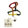 Pettorina - 4XS - Edizioni Limitate