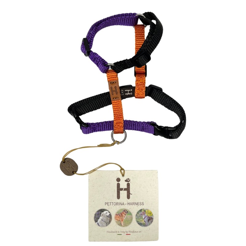 Harness - 4XS - Limited Editions