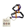 Harness - 4XS - Limited Editions