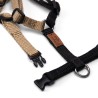 Harness - 4XS - Limited Editions