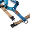 Pettorina - 4XS - Edizioni Limitate