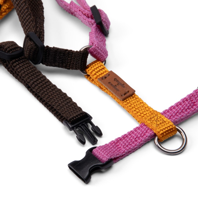 Harness - 4XS - Limited Editions