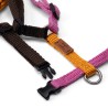 Harness - 4XS - Limited Editions