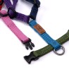 Harness - 4XS - Limited Editions