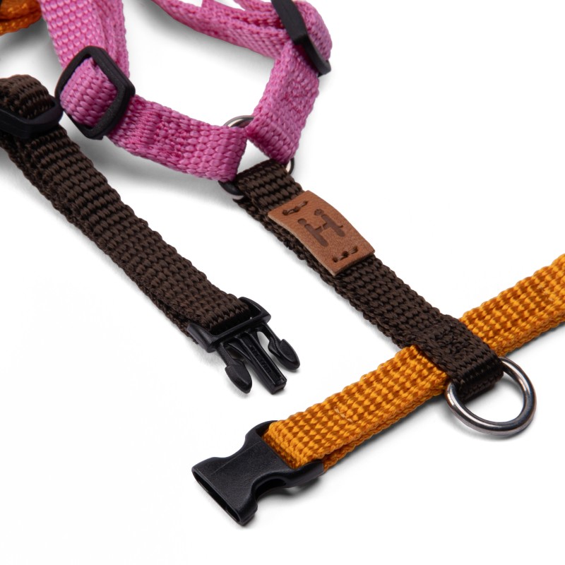 Harness - 4XS - Limited Editions