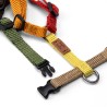 Harness - 4XS - Limited Editions