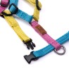 Harness - 4XS - Limited Editions