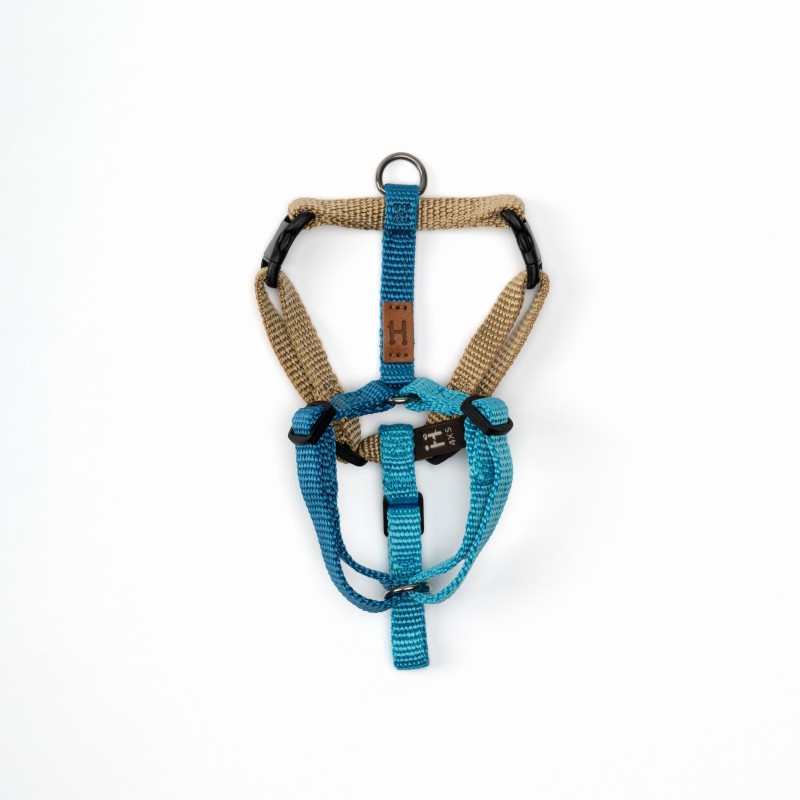 Harness - 4XS - Limited Editions