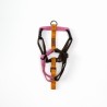 Harness - 4XS - Limited Editions
