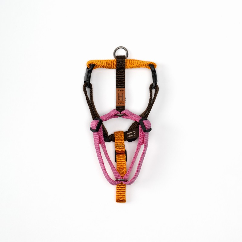 Pettorina - 4XS - Edizioni Limitate