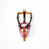 Harness - 4XS - Limited Editions