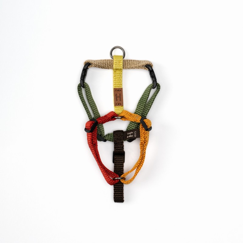 Pettorina - 4XS - Edizioni Limitate