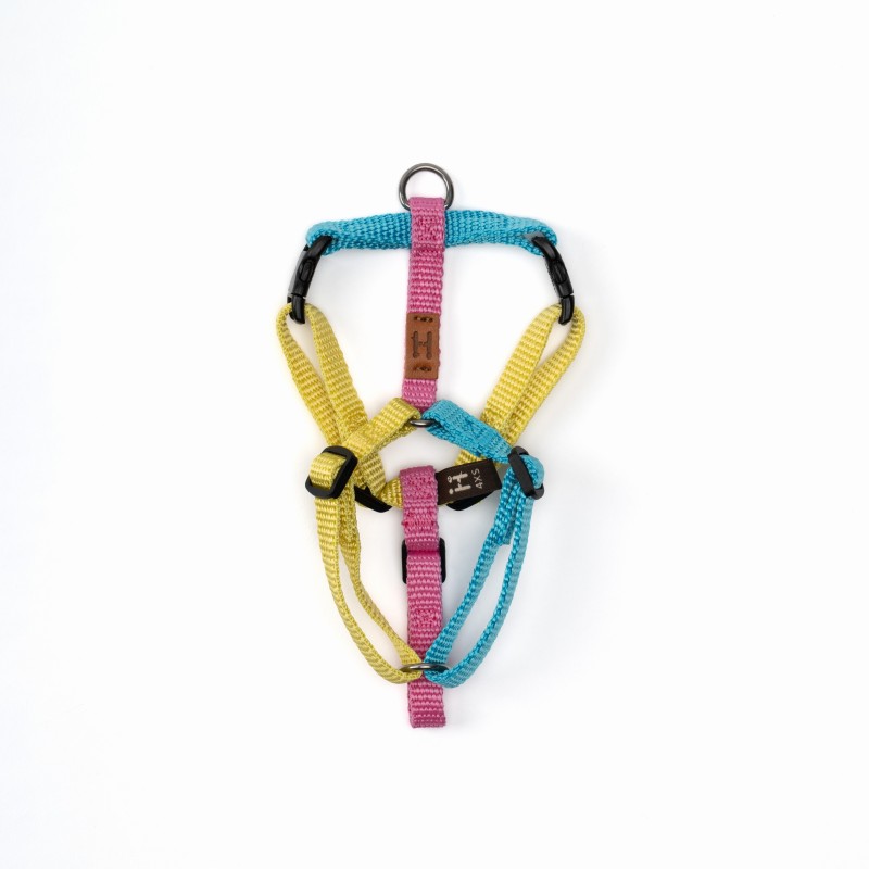 Pettorina - 4XS - Edizioni Limitate
