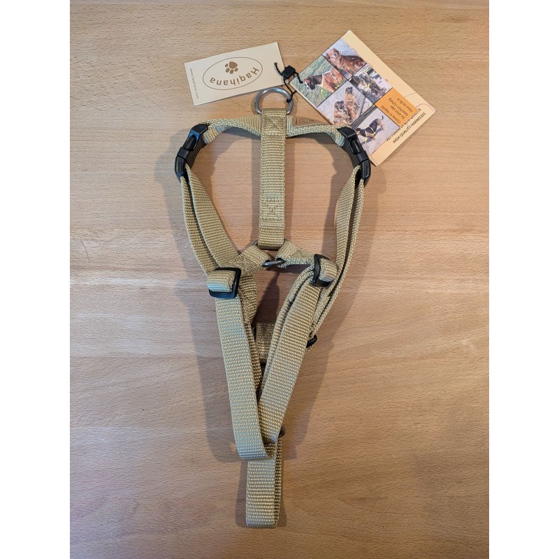 Harness Gold- size S -  old production