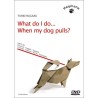 What do I do... When my dog pulls?