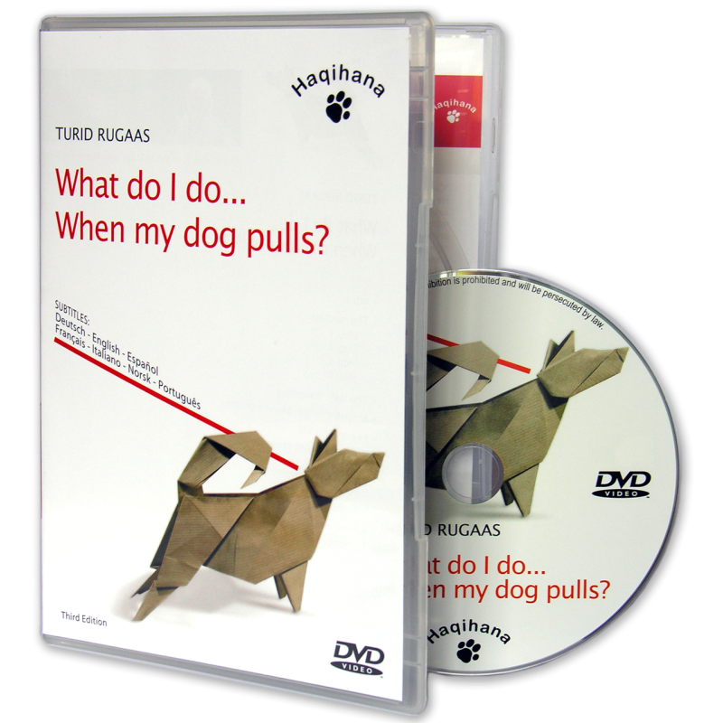 What do I do... When my dog pulls?