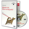What do I do... When my dog pulls?