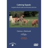 Calming Signals