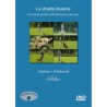 La strada insieme