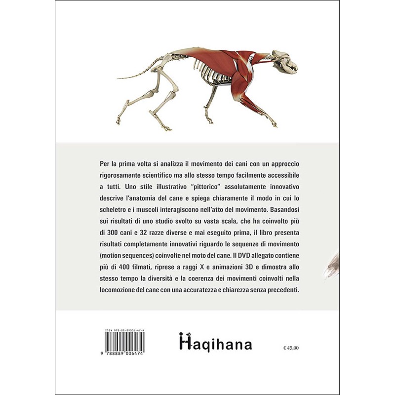 Cani in movimento (italian only)