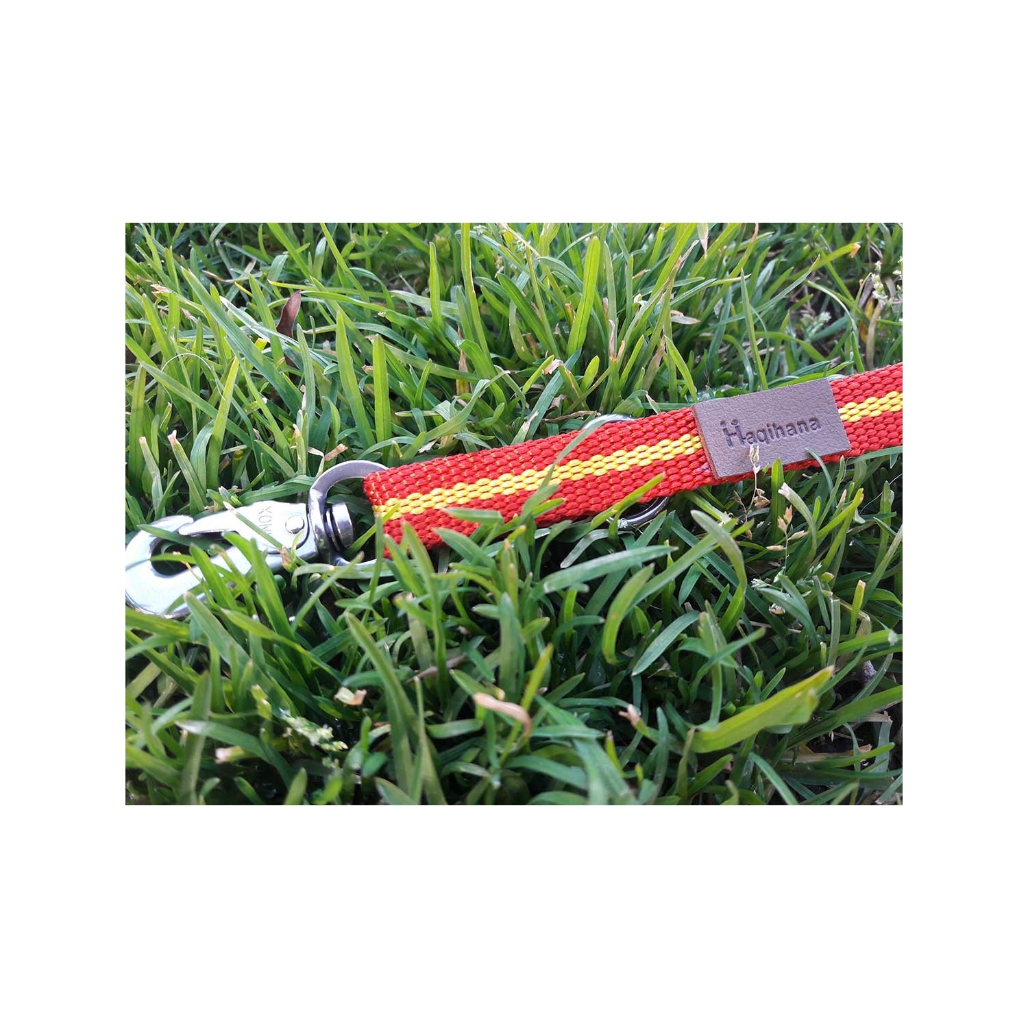 Leash Zeng (limited edition) Leash Zeng (limited edition)